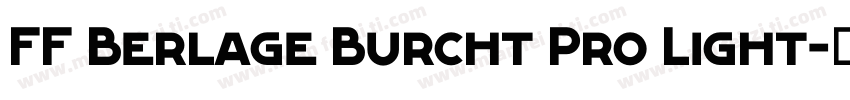 FF Berlage Burcht Pro Light字体转换